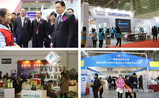 合作共赢 福旅会展与31会议强强联合，数字会务赋能活动管理与企业形象策划